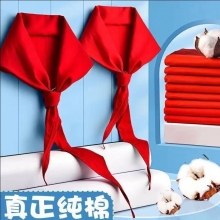 紅領(lǐng)巾